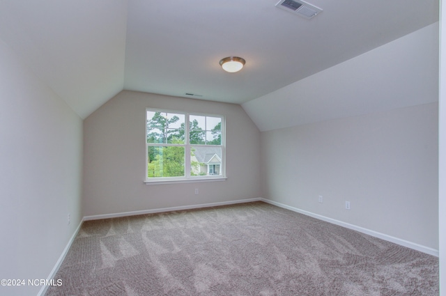 additional living space with carpet and lofted ceiling