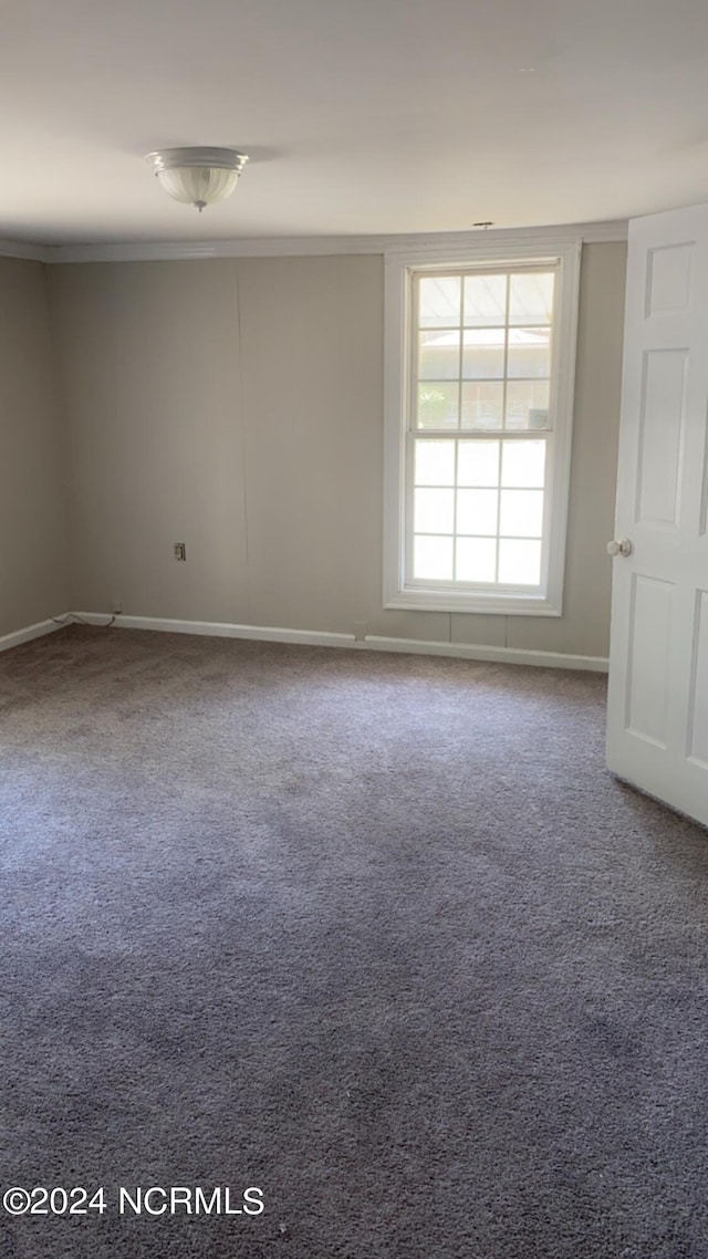 unfurnished room with carpet floors