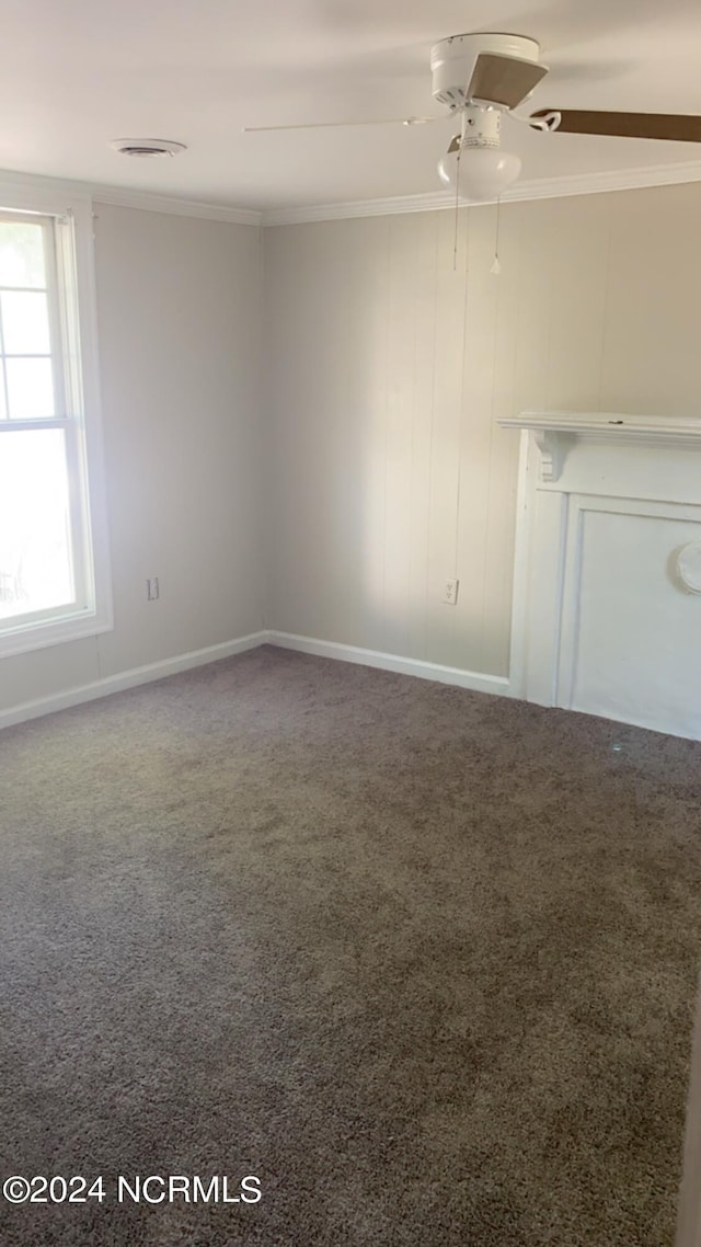 interior space featuring ornamental molding, ceiling fan, and carpet flooring