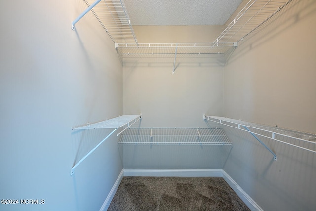 spacious closet featuring carpet flooring