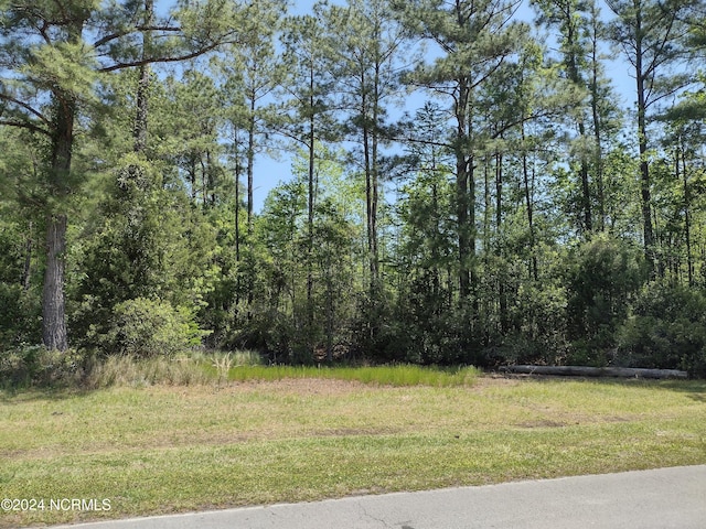 5105 Bucco Reef Rd, New Bern NC, 28560 land for sale