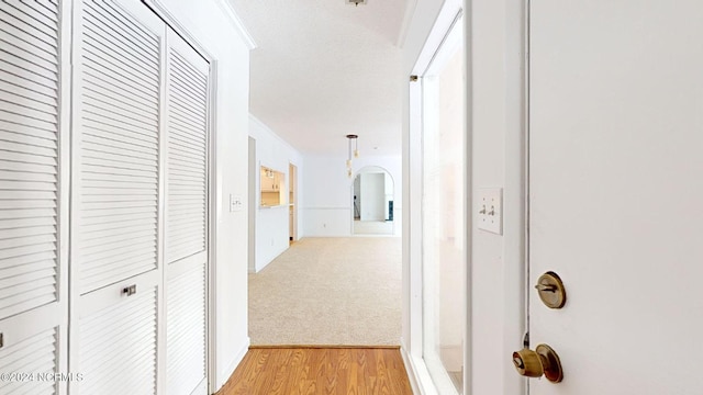 hall featuring light hardwood / wood-style flooring and crown molding