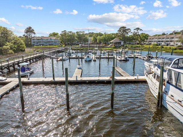 dock area with a water view