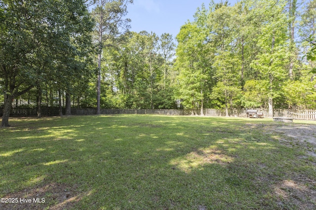 167 Dockside Dr, Jacksonville, NC 28546 - view of yard