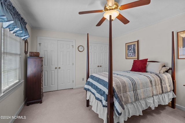 bedroom featuring ornamental molding, ceiling fan, carpet floors, and multiple closets