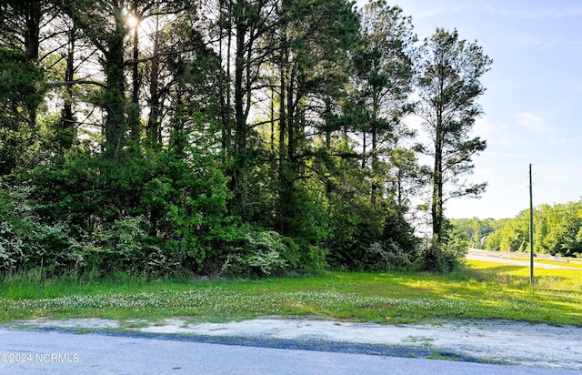 200 Regalwood Dr, Jacksonville NC, 28546 land for sale