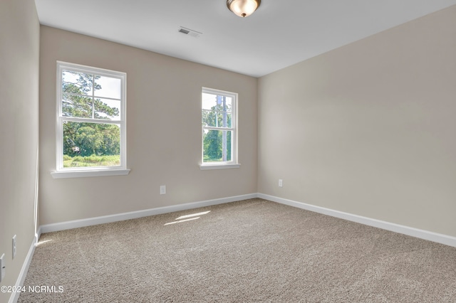 carpeted spare room with plenty of natural light