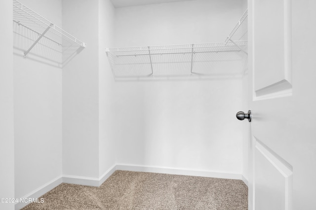 spacious closet with carpet flooring