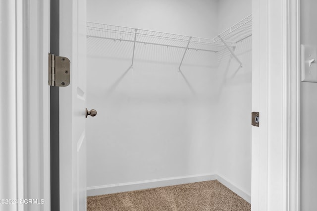 spacious closet with carpet