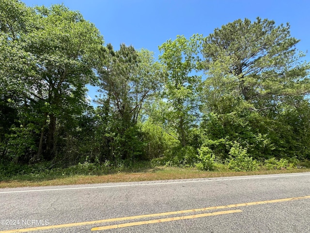 0 Needmore Rd, Turkey, NC 28393