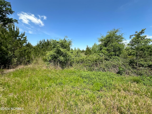 0 Needmore Rd, Turkey, NC 28393