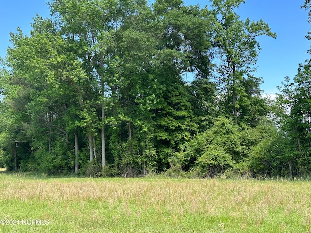 0 Needmore Rd, Turkey, NC 28393
