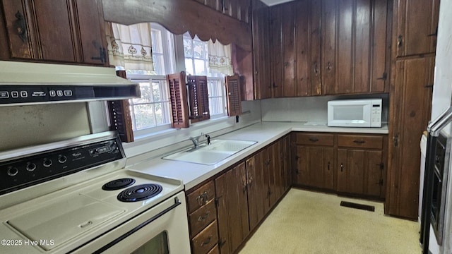 kitchen featuring range hood, light countertops, a sink, dark brown cabinetry, and white appliances