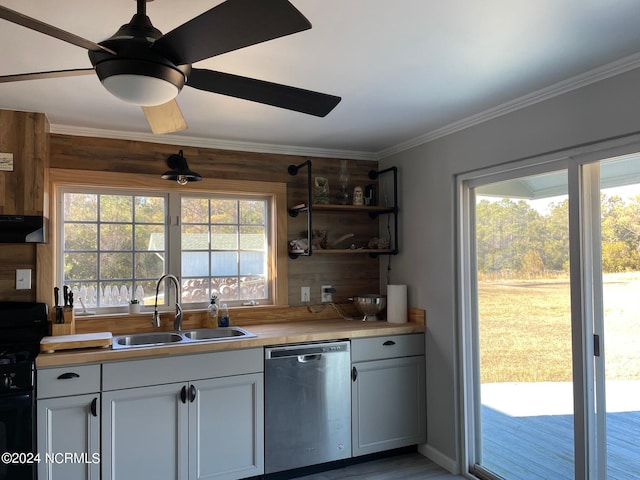 kitchen featuring ceiling fan, sink, stainless steel dishwasher, stove, and a wealth of natural light