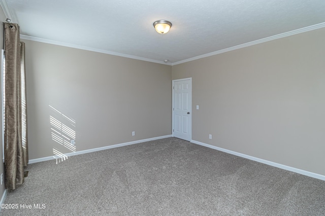 unfurnished room with carpet floors and ornamental molding