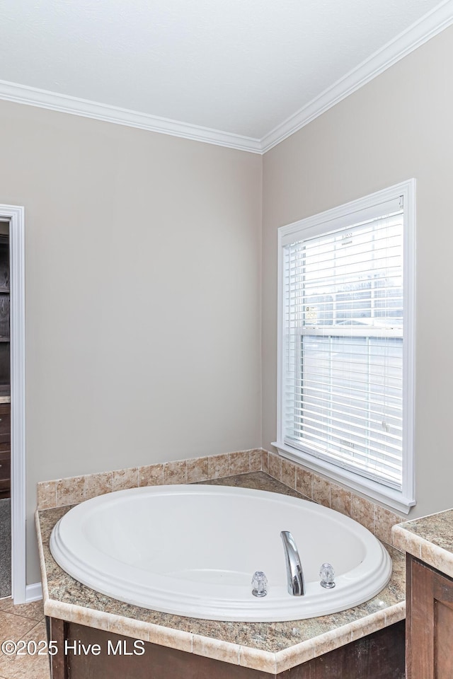 bathroom with vanity, crown molding, and a washtub