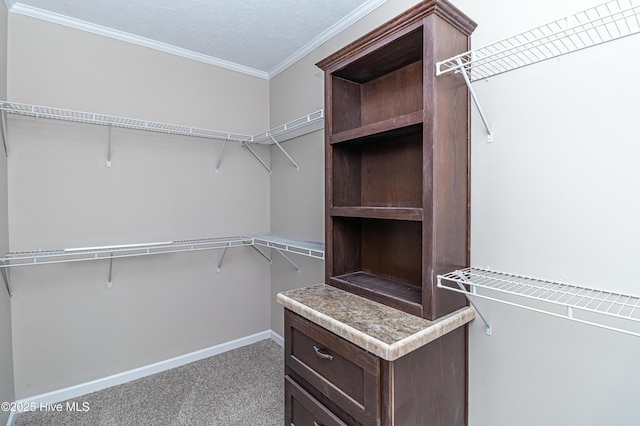 spacious closet with carpet flooring