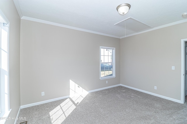 empty room with crown molding and carpet floors