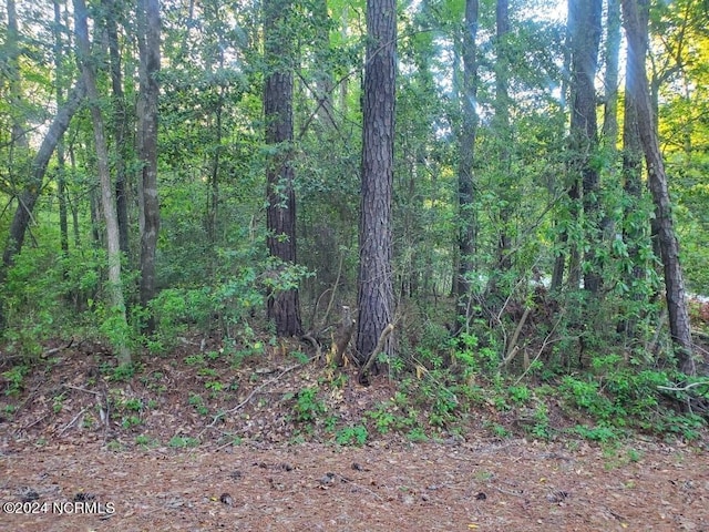 Listing photo 2 for LOT1 Maple Ln, Blounts Creek NC 27814