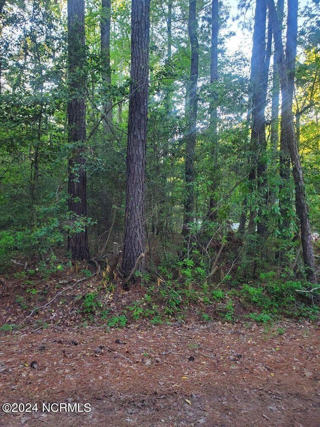 Listing photo 3 for LOT1 Maple Ln, Blounts Creek NC 27814