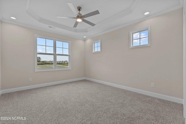 empty room featuring crown molding, carpet, ceiling fan, and a tray ceiling