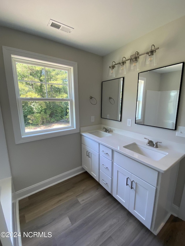 bathroom with vanity and hardwood / wood-style flooring