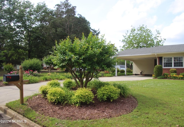 view of yard with a carport