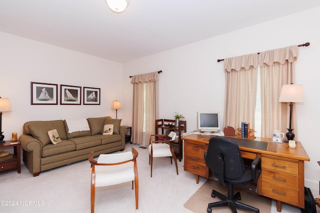 office area featuring light carpet