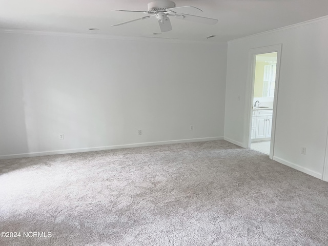 empty room with crown molding, sink, light colored carpet, and ceiling fan