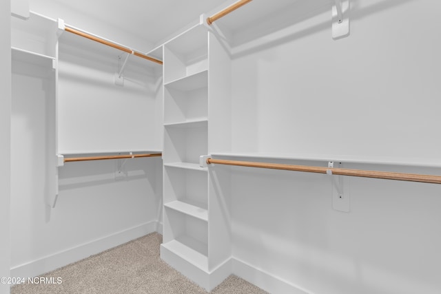 spacious closet featuring light colored carpet