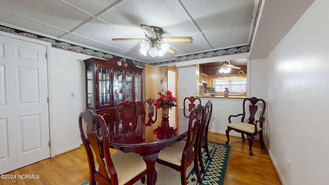 dining room featuring hardwood / wood-style flooring, ceiling fan, and a drop ceiling