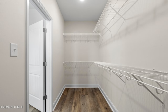 spacious closet with wood-type flooring