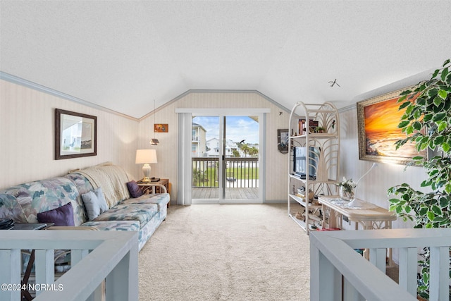 living room featuring lofted ceiling, carpet, and a textured ceiling