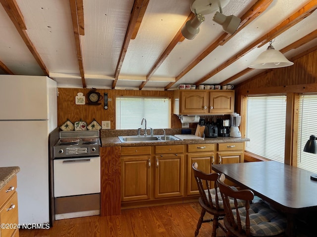 kitchen featuring wood walls, a sink, light wood-type flooring, range, and freestanding refrigerator