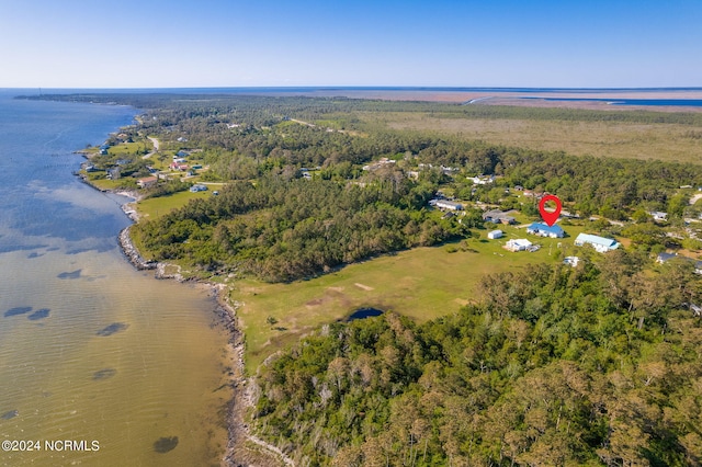 aerial view with a water view and a view of trees