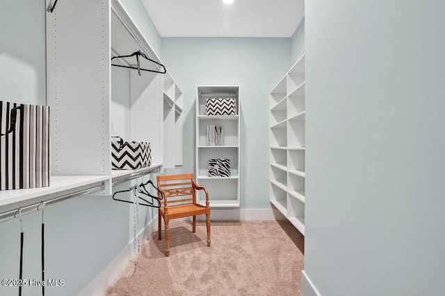 walk in closet with light carpet