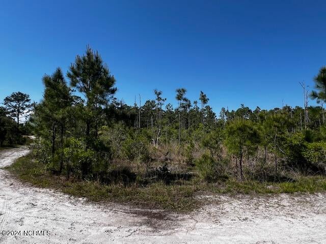 LOT81 Trevino Rd, Boiling Spring Lakes NC, 28461 land for sale