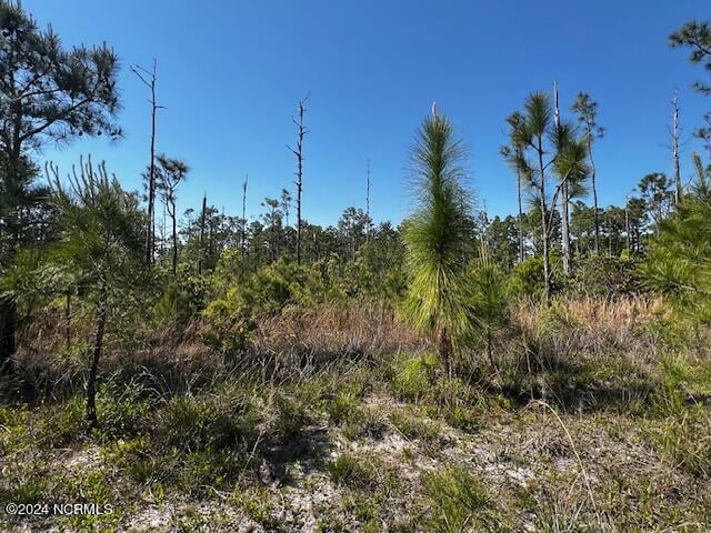 Listing photo 3 for LOT81 Trevino Rd, Boiling Spring Lakes NC 28461