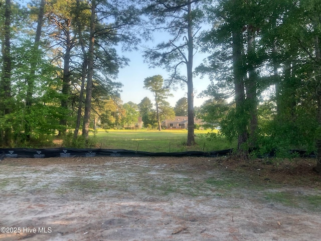 1430 Mona Passage Ct, New Bern, NC 28560 - view of yard
