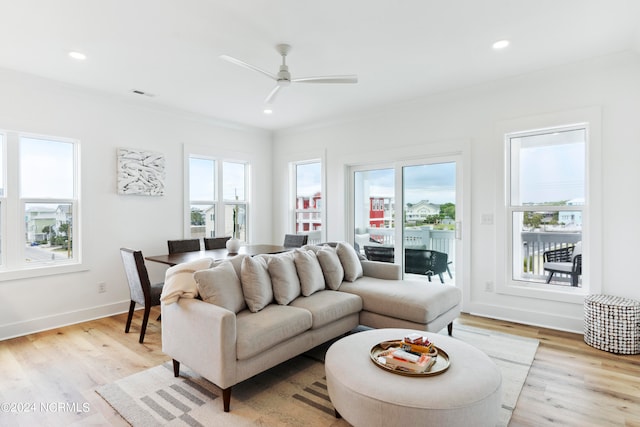 living room with ceiling fan, crown molding, and light hardwood / wood-style floors