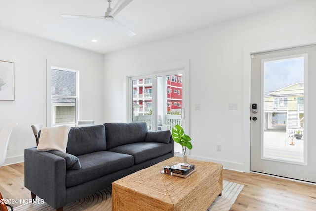 living room featuring ceiling fan and light hardwood / wood-style flooring