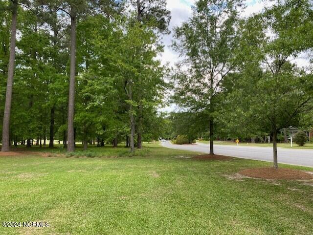 100 Thames Ln Unit 1, Chocowinity NC, 27817 land for sale