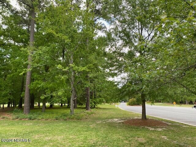 Listing photo 3 for 100 Thames Ln Unit 1, Chocowinity NC 27817