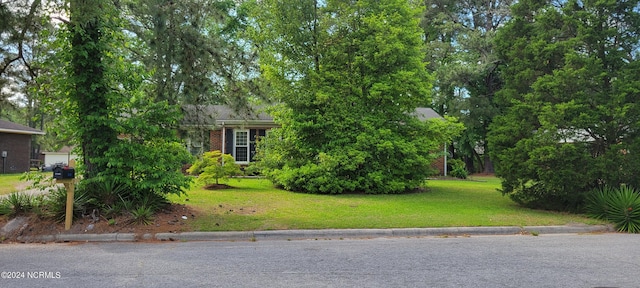 obstructed view of property with a front lawn