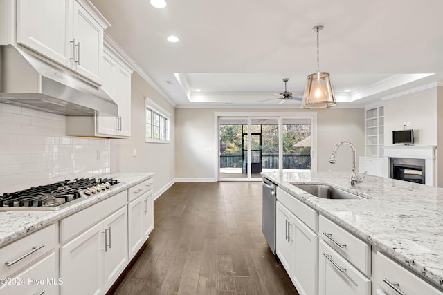 kitchen with a raised ceiling, a wealth of natural light, and stainless steel appliances