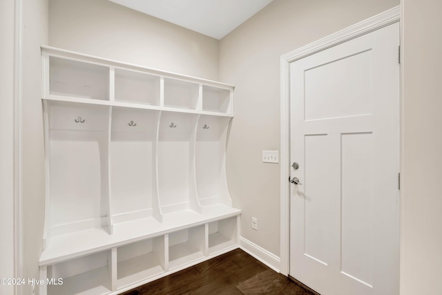 mudroom featuring dark wood-type flooring