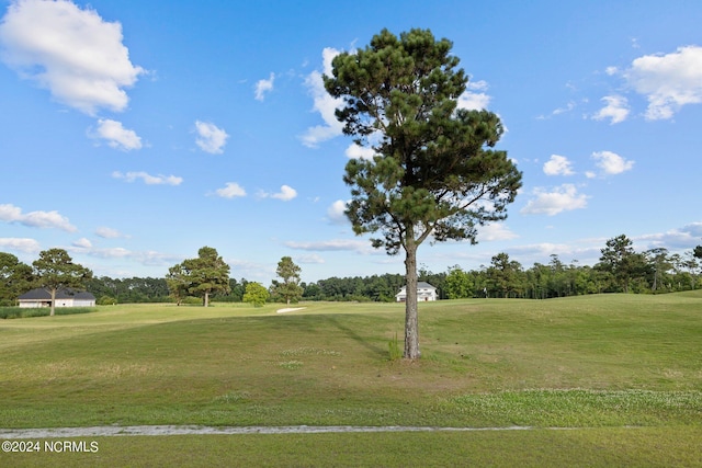 surrounding community featuring a yard