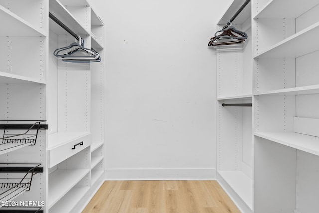 spacious closet with light wood-type flooring