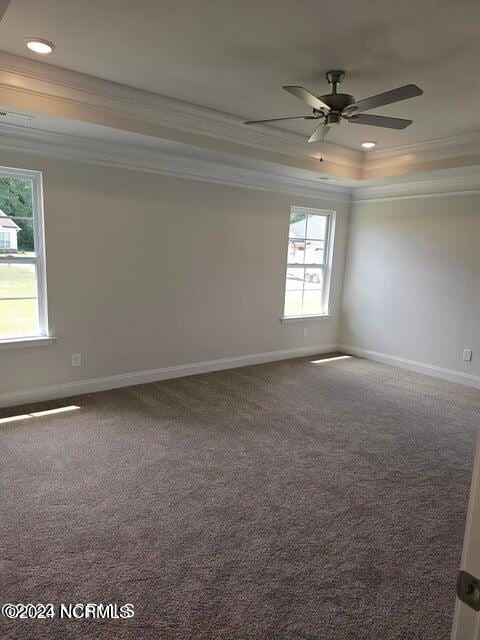 spare room featuring ceiling fan, crown molding, carpet floors, and a tray ceiling