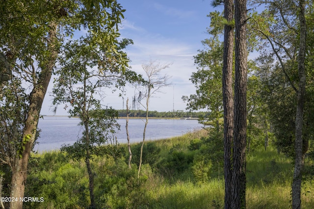 1134 Trisail Ter, Wilmington, NC 28412 - water view